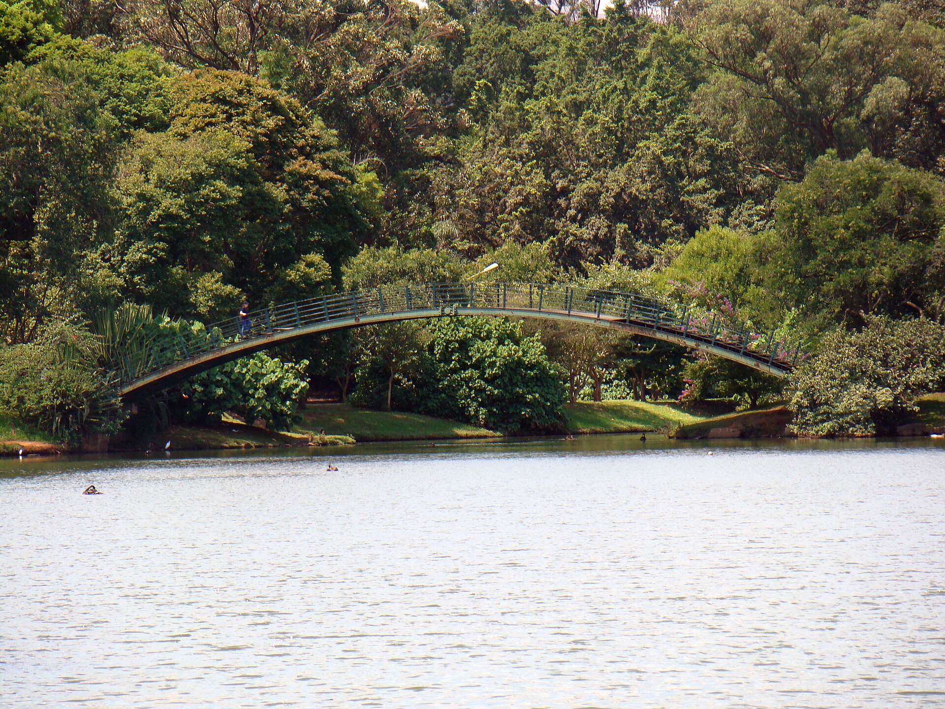 Espelho d’água, árvores e pavilhões do Parque Ibirapuera.